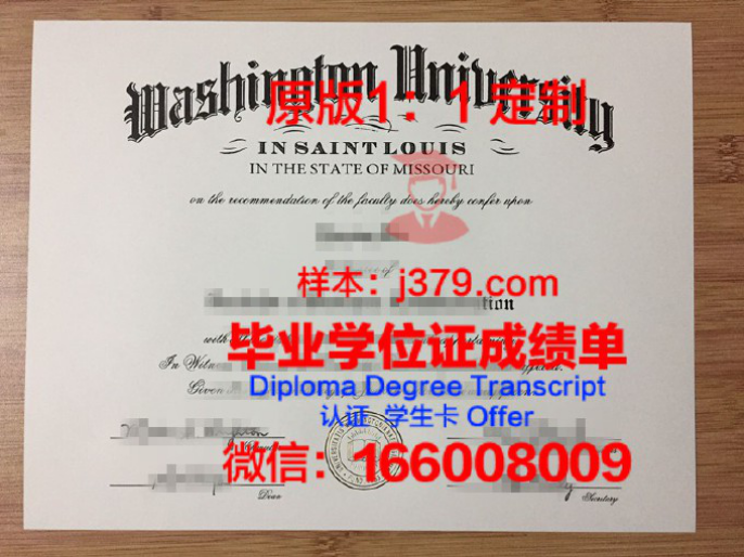 华盛顿大学硕士学位证图片大全：探寻学术荣耀的瞬间