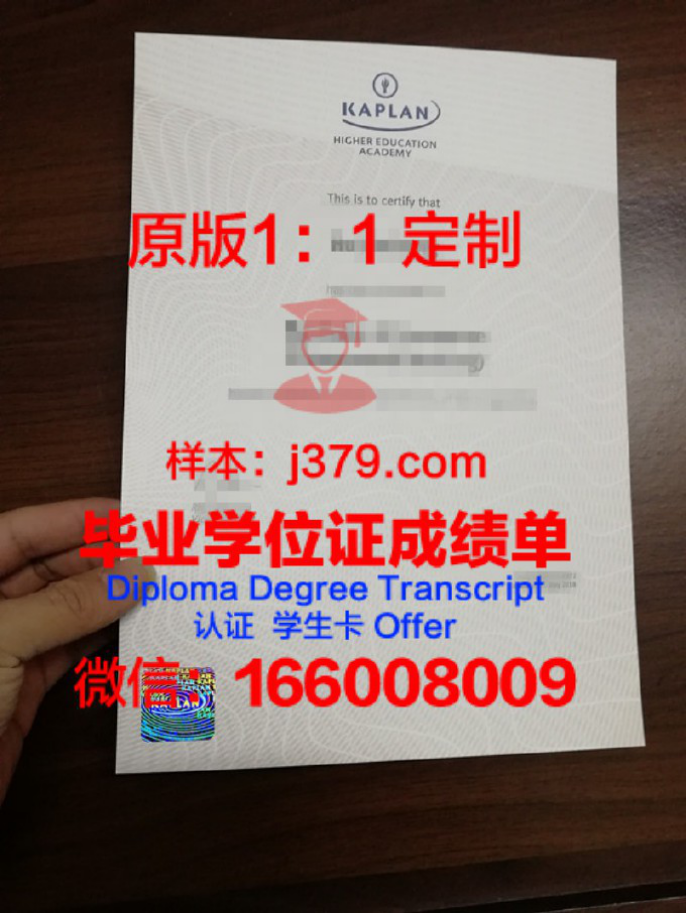 探寻塔斯曼国际学院本科毕业证的价值与意义